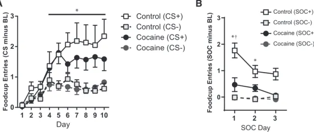 Figure 2. Pavlovian conditioning after 1 month of abstinence from self-administration