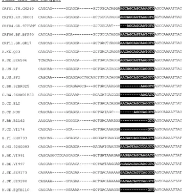 FIG. 1. Alignment of the conserved signature speciﬁc for CRF02_AG with all other subtypes and CRFs comprising fragments of subtype A.Black boxes indicate amino acid insertions and deletions within different subtypes and CRFs compared to probes (in bold and italics) speciﬁc for