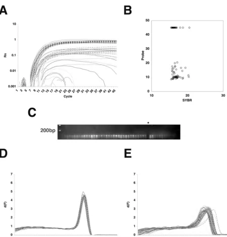 FIG. 3. Comparison of the effects of nucleotide variations on the TaqMan and SYBR green-based assays