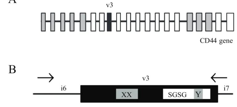 Table 1: Primers