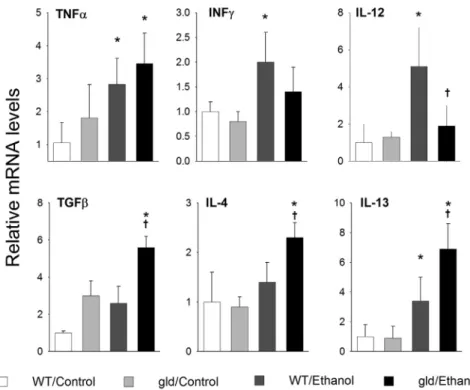 Figure 5 Expression of cytokines in liver. Liver mRNA was isolated from WT and B6.gld mutant mice that were fed either the control diet or diet that contained ethanol intragastrically for 4 weeks
