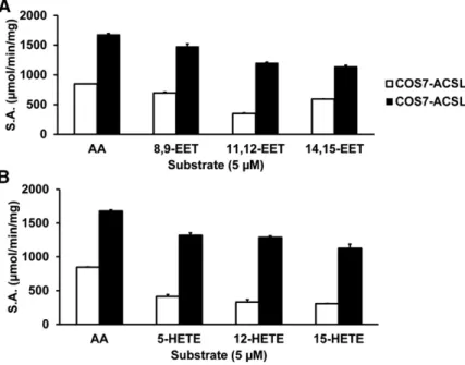 Fig. 7.  Michaelis-Menten kinetic enzyme activity  curves from purified F-ACSL isoforms assayed  spec-trophotometrically with different FAs