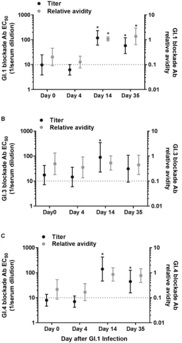 Figure 4.  Blockade antibody (Ab) relative avidity to the GII.4c vaccine component  peaks early and is sustained through day 180