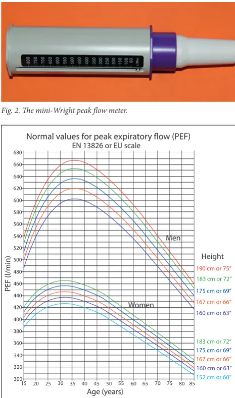 Fig. 2. The mini-Wright peak flow meter.