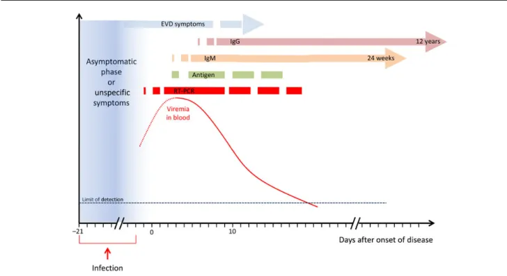 Figure 1. Evolution of viral load in blood and appearance of immune response during the course of Ebola virus disease (EVD)