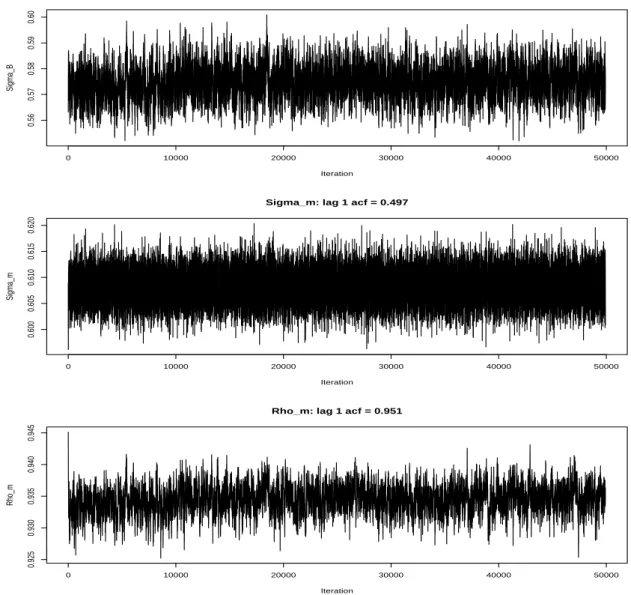 Figure 3: Trace plots of select parameters (σ B , σ m , and ρ m ) of measurement error model with lag 1 autocorrelation