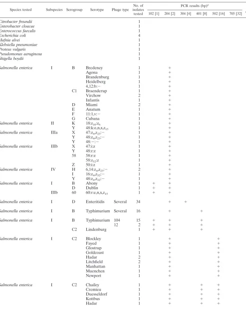 TABLE 2. Strains tested and multiplex PCR results obtained in the optimization and validation experiments