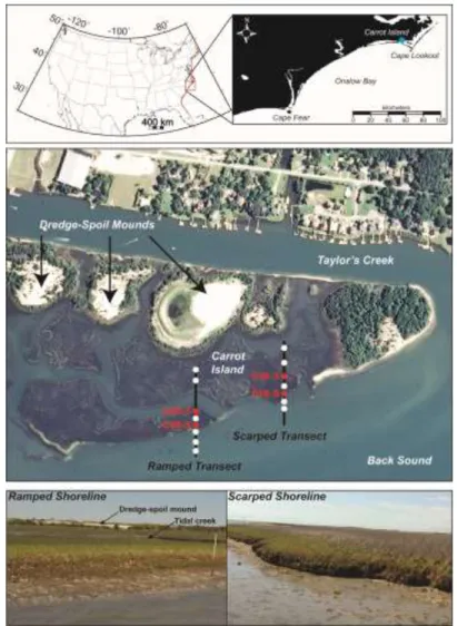 Figure 2.3: Chapter 2 study area map: Carrot Island, NC 