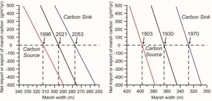 Figure 2.7: Net carbon budget and threshold width for Carrot Island Sites 