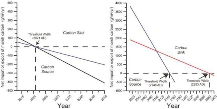 Figure 2.8: Net carbon budget and threshold width at the ramped shoreline section of  Carrot Island for scenarios of decreased carbon content, increased carbon storage rate, 