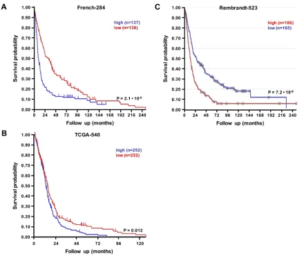 Figure 9: RSK2 mRNA expression is prognostic for poor glioma patient prognosis. Prognostic significance of RSK2 tumor mRNA expression in human glioma patients as determined by Kaplan-Meier analysis