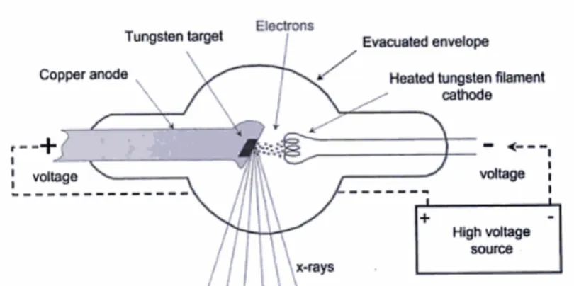 Figure 2.1: A schematic of a conventional X-ray tube. The right hand side shows the heated tungsten filament emitting electrons towards the anode