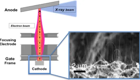 Figure 2.4: The left side shows a schematic for a CNT X-ray source. The molybdenum substrate is coated in CNTs