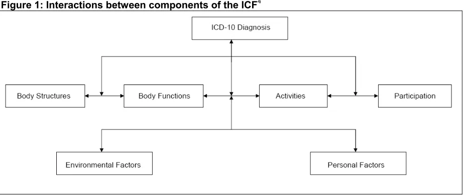 Figure 1: Interactions between components of the ICF4 