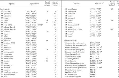 TABLE 1. Mycobacteria and non-mycobacteria used for DPCR and their PCR ampliﬁcation products