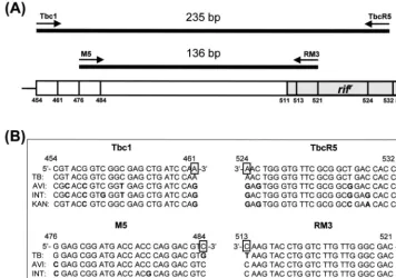FIG. 1. Locations (A) and sequences (B) of the DPCR primers on the rpoBprimer set (Tbc1-TbcR5) and an NTM-speciﬁc primer set (M5-RM3) were 235 and 136 bp long, respectively.direction