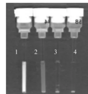 TABLE 2. Effects of different pre-PCR processing strategies onampliﬁcation efﬁciency