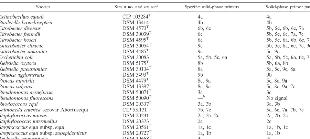 TABLE 1. Bacterial strains used in this study and their corresponding speciﬁc on-chip PCR solid-phase primers