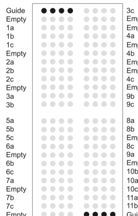 Fig. 2. The patterns of reaction products observed allowed the