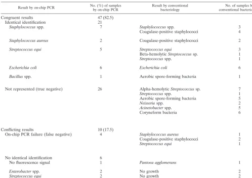 TABLE 3. Comparison of results obtained by on-chip PCR identiﬁcation and conventional bacteriology for 21 clinical samples
