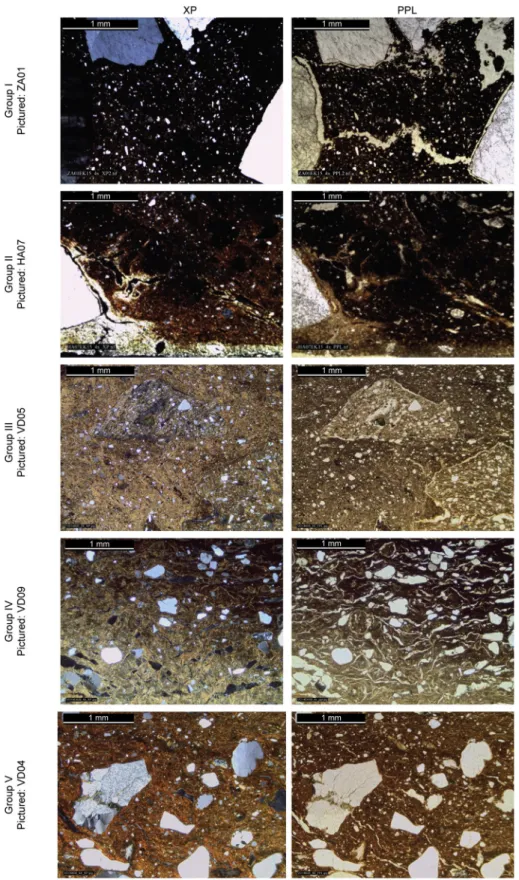 Fig. 5. Micrographs of the fabric groups. Group I: