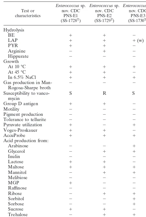 TABLE 1. Characteristics of the three new enterococcal speciesa