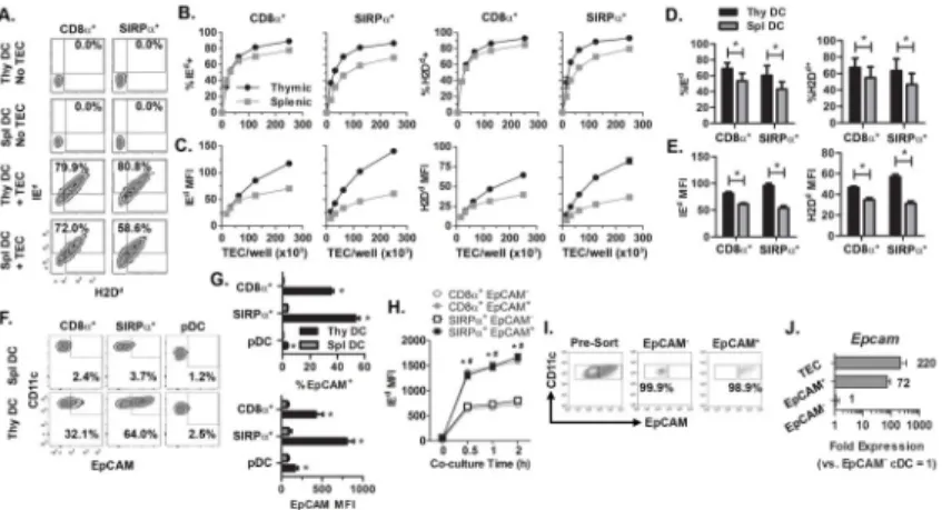 Figure 2. Thymic versus splenic DC acquire MHC more efficiently, which correlates with DC  expression of EpCAM