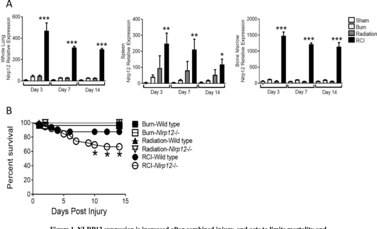 Figure 1. NLRP12 expression is increased after combined injury, and acts to limits mortality and  weight loss
