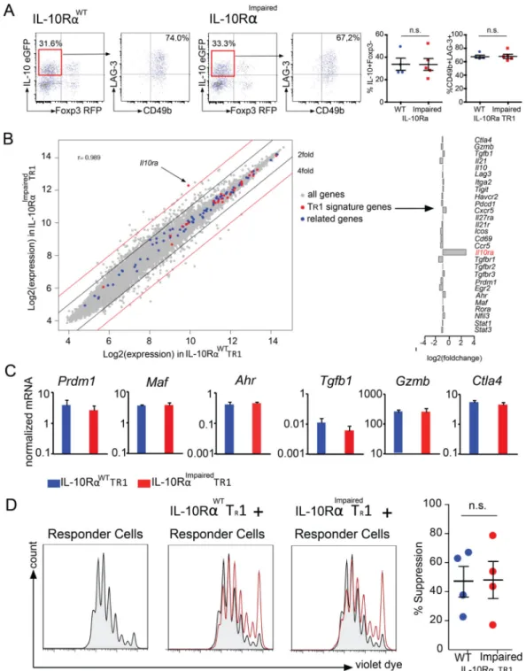Fig. 2. IL-10 signaling in T cells is not essential for the differentiation of T R 1 cells