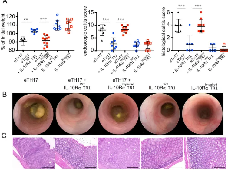 Fig. 3. IL-10 signaling in T R 1 cells is essential for their in vivo function