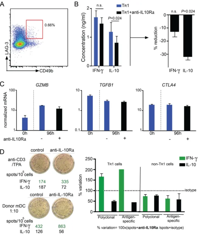 Fig. 7. IL-10 signaling sustains IL-10 production in human T R 1 cell