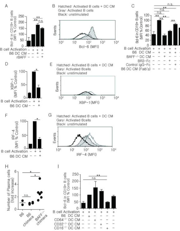 Figure 3. DC-derived BAFF regulates the expression of Bcl-6 in cultured B cells