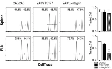 Figure 2. YTS177-bound CD4 +  T cells traffick into the PLN