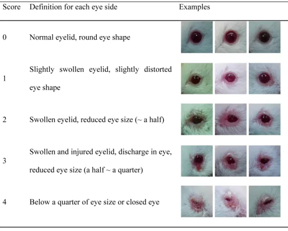Table 1: Definition of scoring by visible eye pathology
