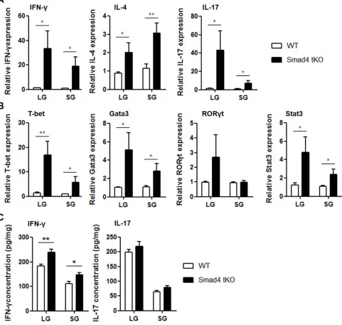 Figure 2: Expression of inflammatory cytokines is increased in exocrine glands from Smad4 tKO NOD mice
