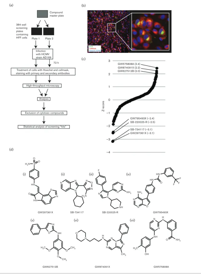 Fig. 1. High-throughput screening of the PKIS collection. (a) Diagram of the screening process