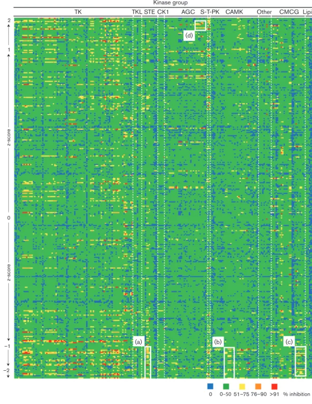 Fig. 2. Kinase selectivity of compounds with assigned Z-scores. The full list of kinase selectivity data is shown in Table S5