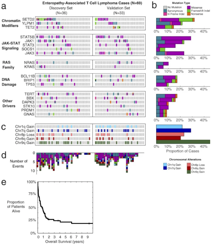 Figure 1.  Somatic mutations, copy-number alterations, and survival of EAtL patients. (a) Heat map of mutations in EATL cohort (n = 69)