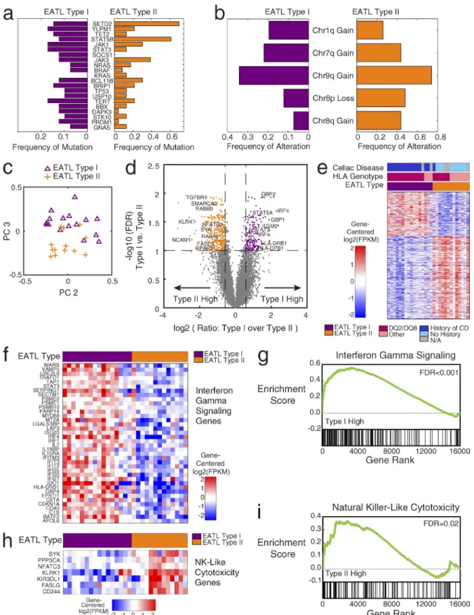 Figure 2.  differences between type I and type II EAtL: mutations, copy number, and gene expression