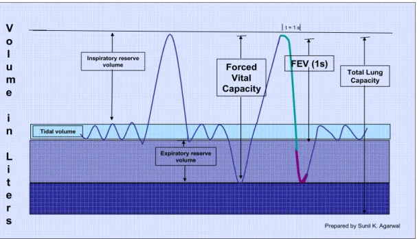 Figure 1. Schematic depiction of Forced Expiratory volume in 1 second (FEV1)  and Forced Vital Capacity