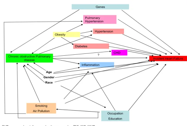 Figure 2. Conceptual framework of factors linking COPD and heart failure. This is  not a Directed Acyclic Graph as several constructs may effect each other at the  same time as well as temporally thus have potential to act as both confounder as  well as in