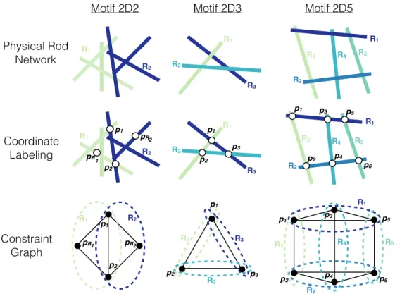 Figure 3.1: Derivation of three primitive rigid motifs for 2D rod-hinge systems. Top Row: Rigid components, which may be individual rods or sets of connected rods, distinguished here by color, intersect with three specific topologies as described in Sec
