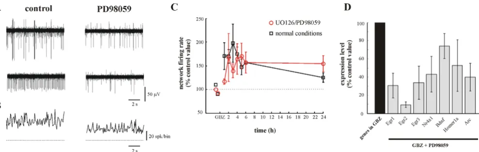 Figure 2Effect of inhibitors of the ERK1/2 pathwayEffect of inhibitors of the ERK1/2 pathway