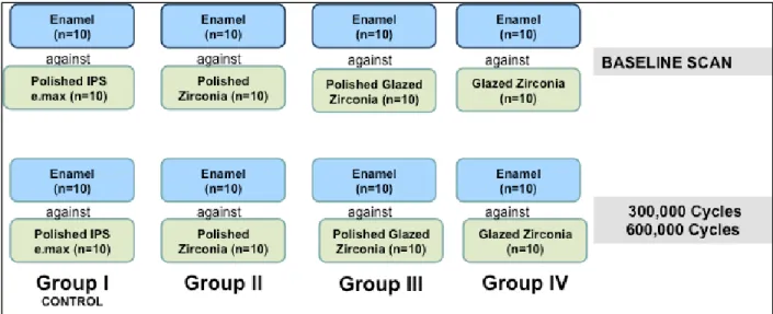 Table 2: Study Protocol 