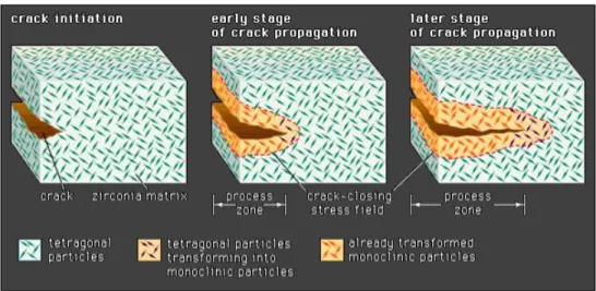 Figure 2: Phase Transformation in Zirconia 