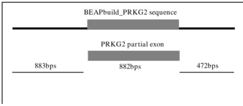 Table 1 presents a summary of the genes retrieved, theirsizes and a sequence similarity comparison to human