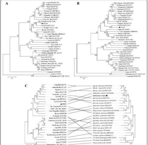 Fig. 2 Phylogenetic analysis of hantaviruses and their hosts based on the L a, M b, and S segments and CytB c