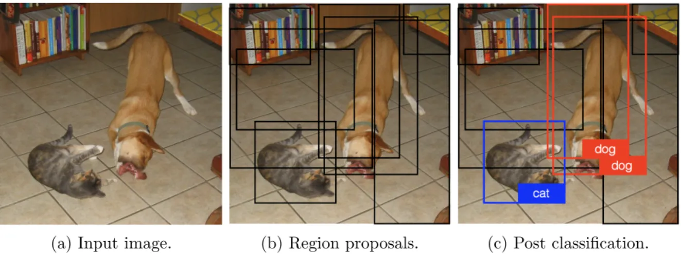 Figure 2.1: Region proposal based object detection.