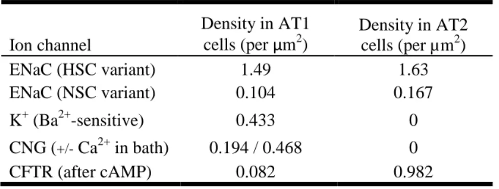 Table 1.2. Comparison of ion transporter density in AT1 and AT2 cells. Data obtained  from patch clamp studies in primary rat alveolar cells