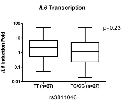 Figure 3. Transcription of IL37, IL1B, and IL6  in samples with different genotypes  at  the  rs3811046  locus  of  IL37